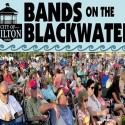 BANDS ON THE BLACKWATER 2016